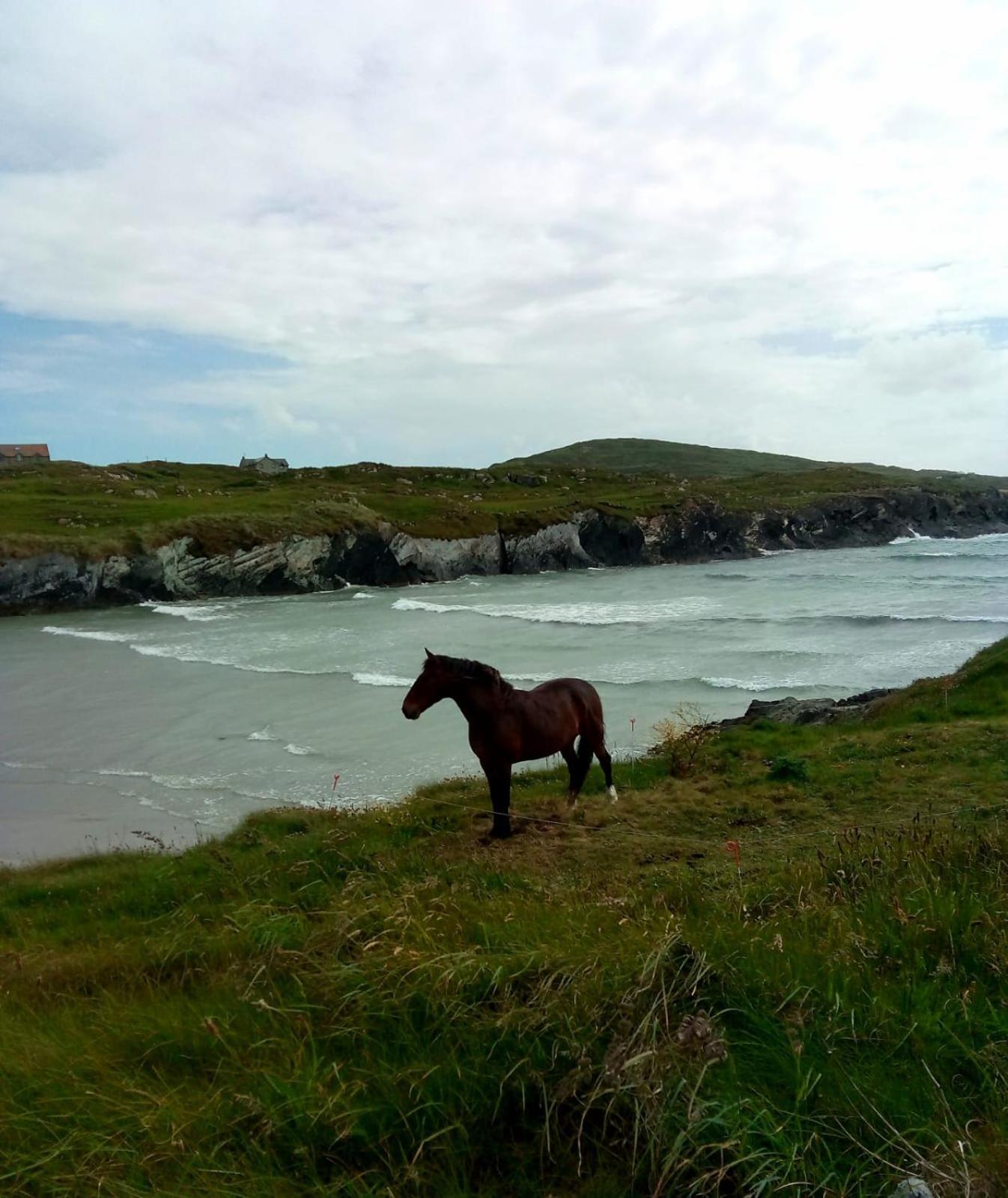Melrose Bed And Breakfast Clonakilty Buitenkant foto